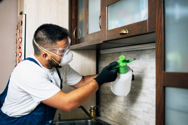 Best Pest Removal Services  in North Warren, PA
