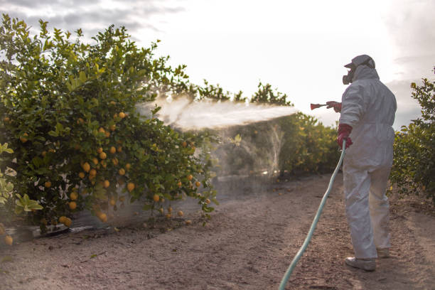 Best Residential Pest Control  in North Warren, PA