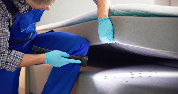 Best Affordable Pest Control Services  in North Warren, PA