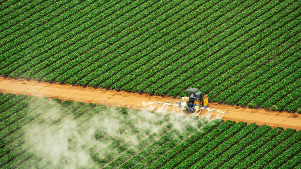 Best Mosquito Control Services  in North Warren, PA