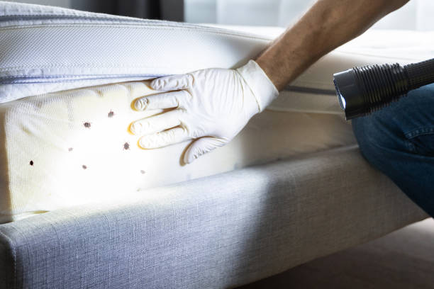 Best Insect Control  in North Warren, PA
